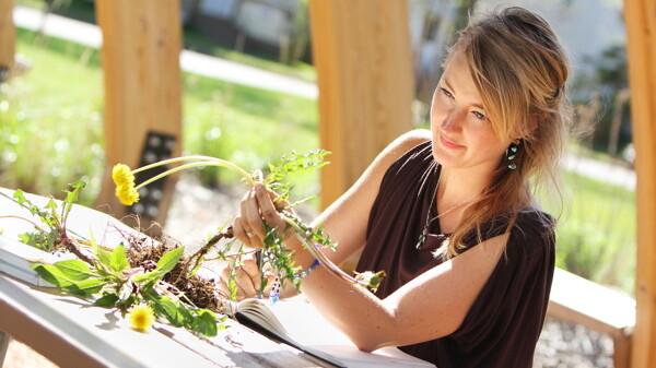 FLOWER POWER. Printmaker Kerri Kiernan makes sketches on a recent afternoon at the Forest Street Community Garden. The sketches will be transformed into prints which will be given to shareholders through the Eau Claire Regional Art Center’s new community supported art program.