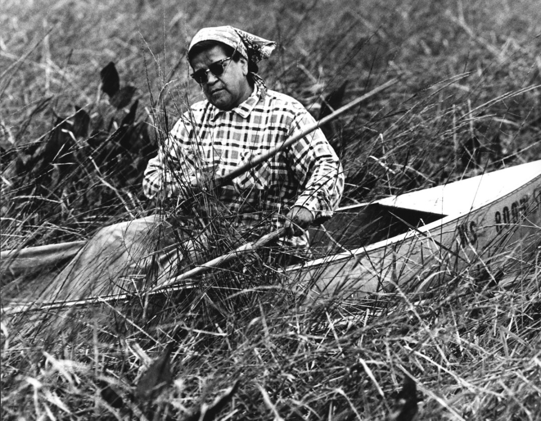 An Ojibwe woman harvests wild rice from a canoe in this photo from the Chippewa Valley Museum collection. 