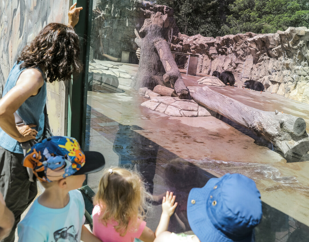ZOO-M ON OVER TO IRVINE. Irvine Park Zoo's latest programming is led by the zoo's zookeepers, kickin' off back in June.
