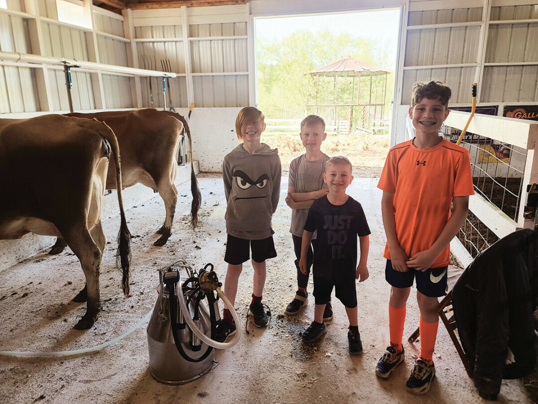 MAKING DREAMS COME MOO. Wisconsin kids curious about cow milking get a lesson from dairy farmer. Left to right: Oliver, Carter, Sawyer, Spencer. (Submitted photos)