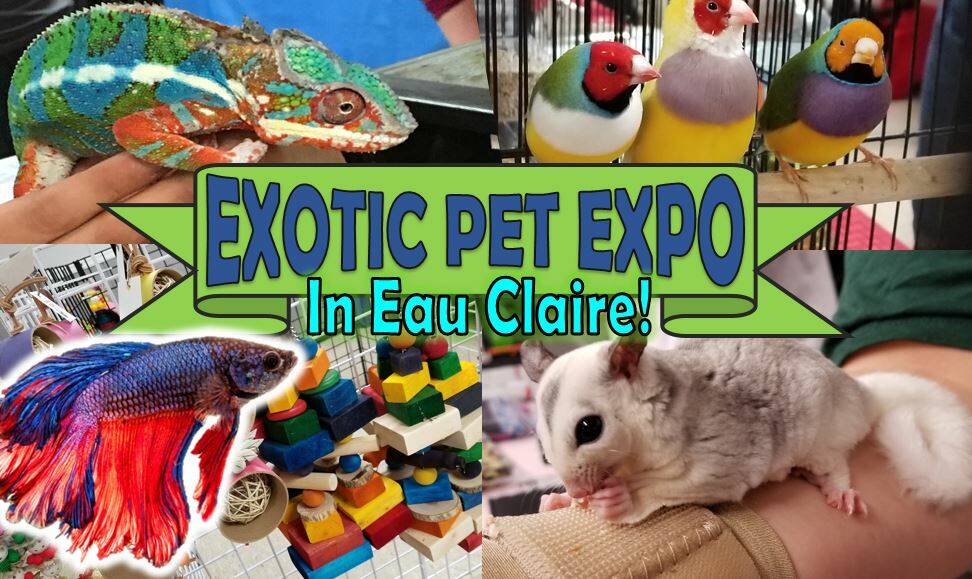 Eau Claire Exotic Pet Expo Eau Claire Expo Center