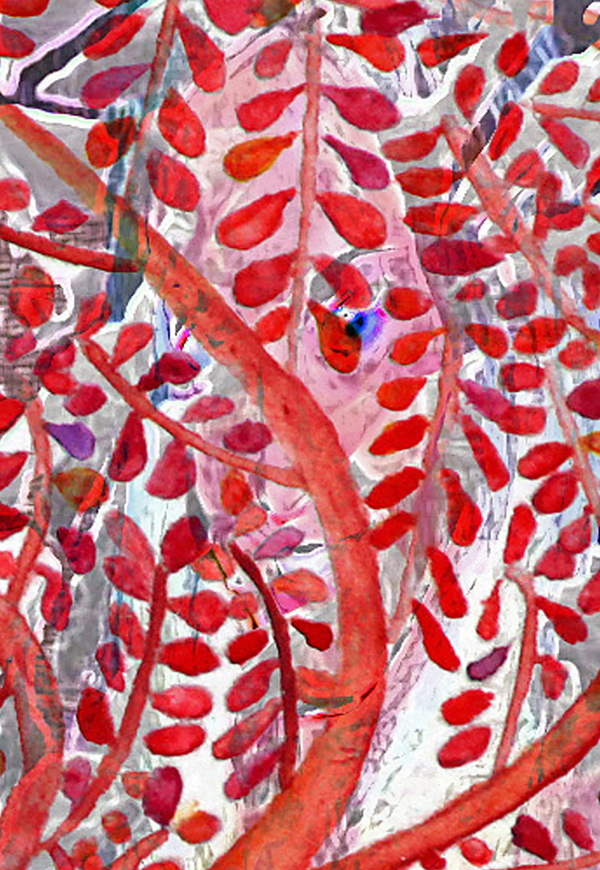 Red Branch by Thomas Gardner