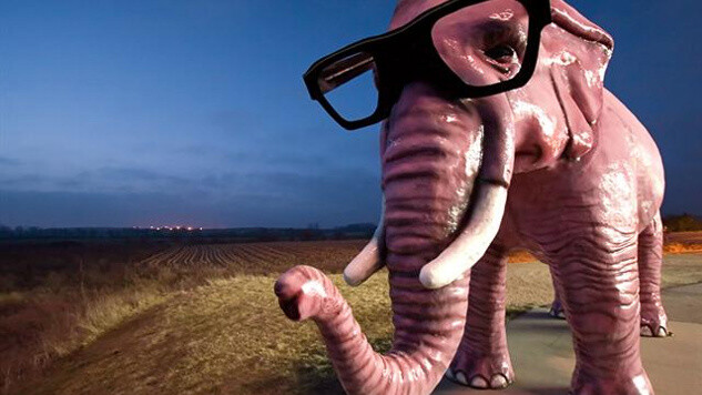 Big Pink Elephant bids a hearty 