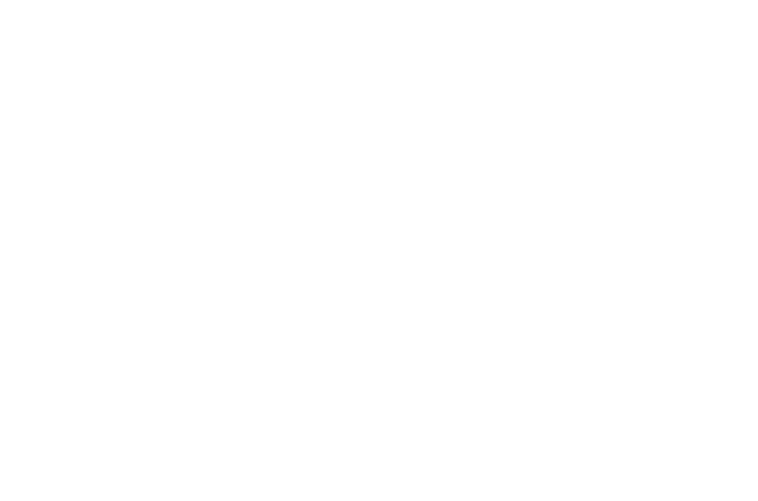 Chippewa Valley Vanguard Awards logo