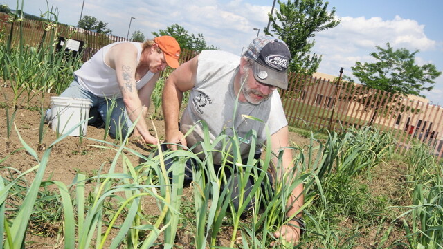 GROW YOUR OWN. The Dunn County Jail’s inmate-tended garden was initially spearheaded in 2009 by a group within the Dunn County Jail’s Literacy Program.