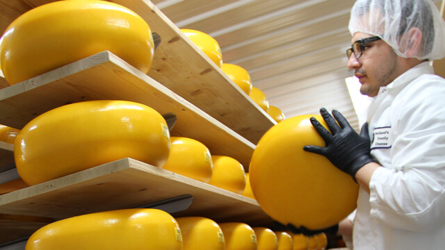 An employee rotates wheels of aging Gouda at Holland’s Family Cheese in Thorp.