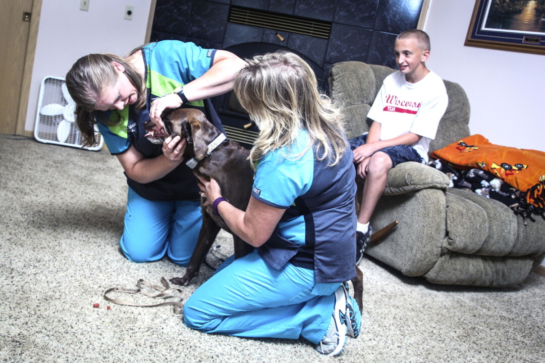DR. ERIN WEISS AND VET TECH PATRICE ANDERSON EXAMINE A PATIENT