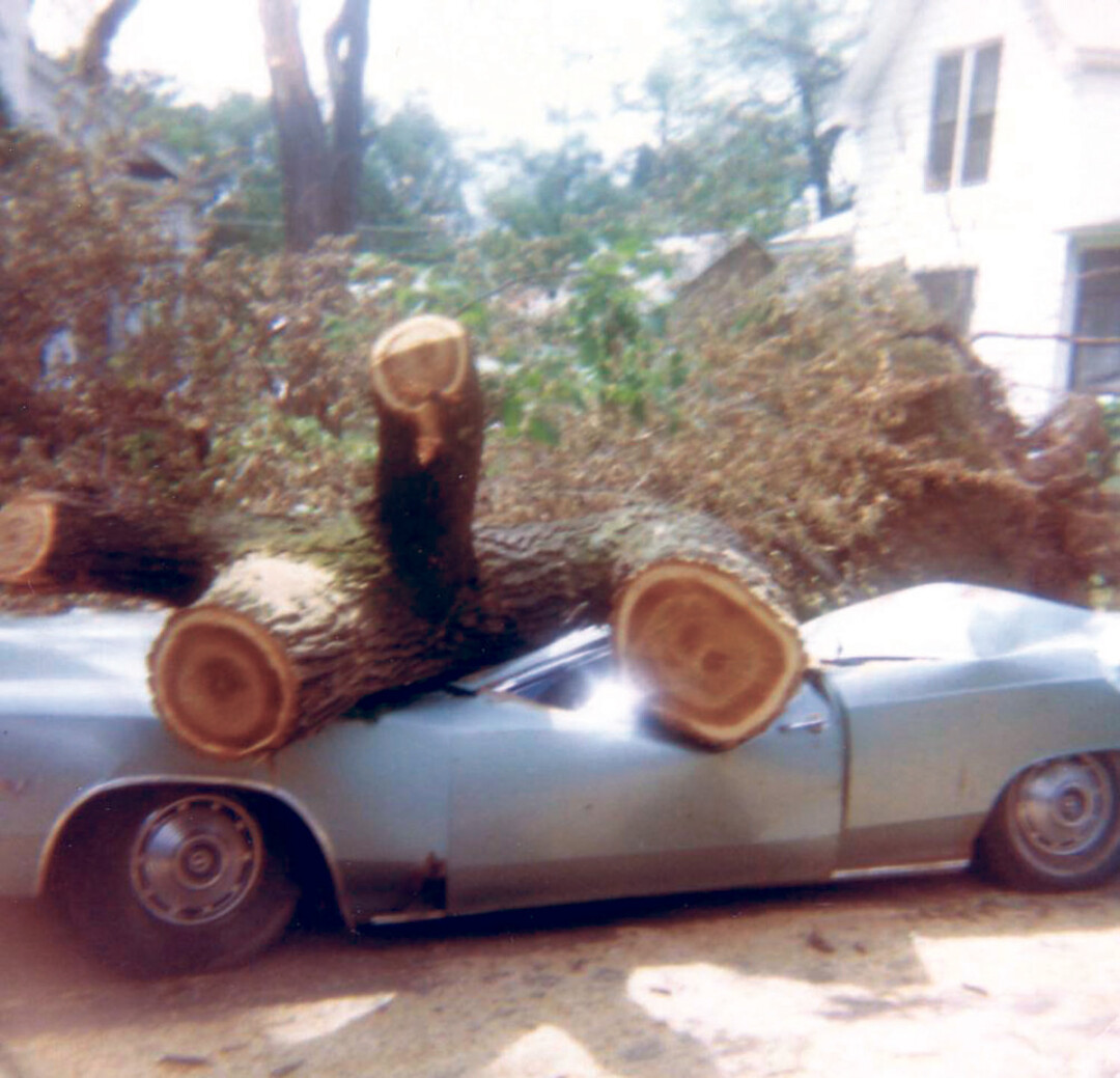 Fallen Timber wreaked havoc across the Chippewa Valley, crushing buildings and vehicles, such as this car photographed by Anna Stillman.