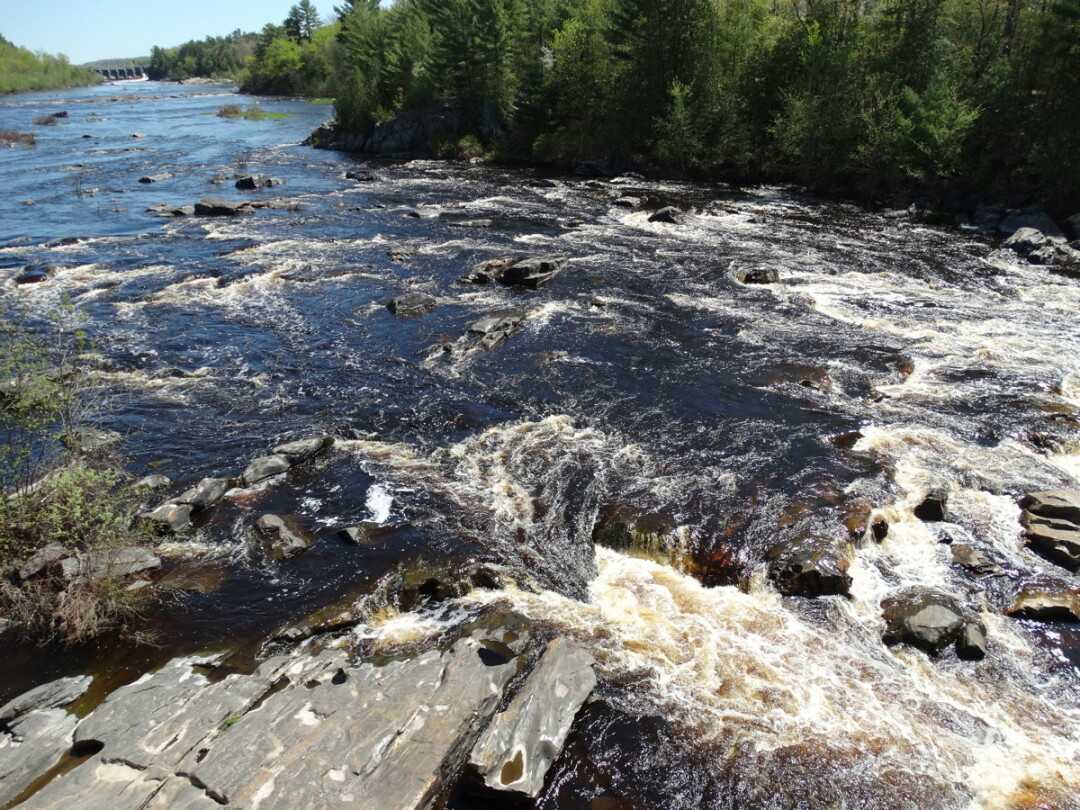 THE RIVER WILD. With the dam gates open, the Chippewa River flows free downstream from Jim Falls.