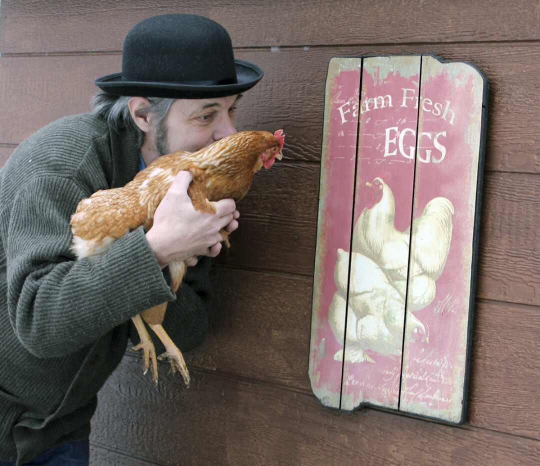 YOLKING AROUND. Poultry eggspert Uncle Eggbert (a.k.a. David Tank) inspects the premises with Daisy the hen.