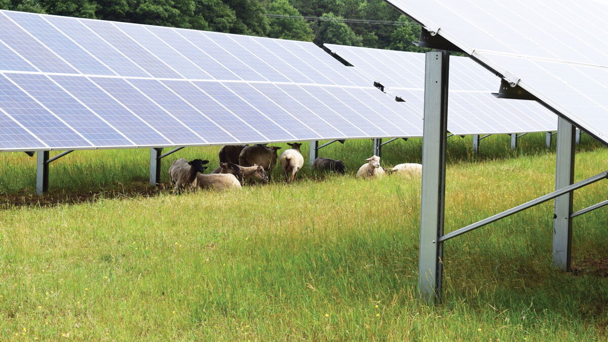 eau-claire-energy-cooperative-provides-tons-of-solar-energy