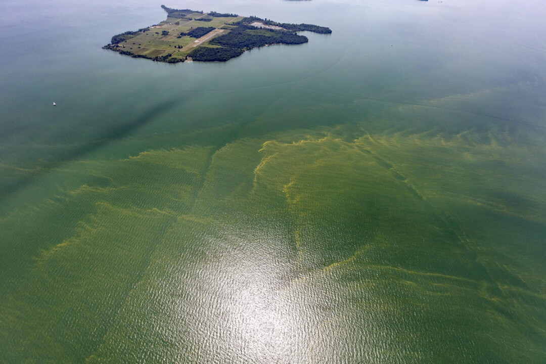 IT AIN’T EASY BEING GREEN. A harmful algae bloom is seen in the western basin of Lake Erie near Toledo, Ohio, in this photograph taken for the National Oceanic and Atmospheric Administration’s Great Lakes Environmental Research Laboratory.