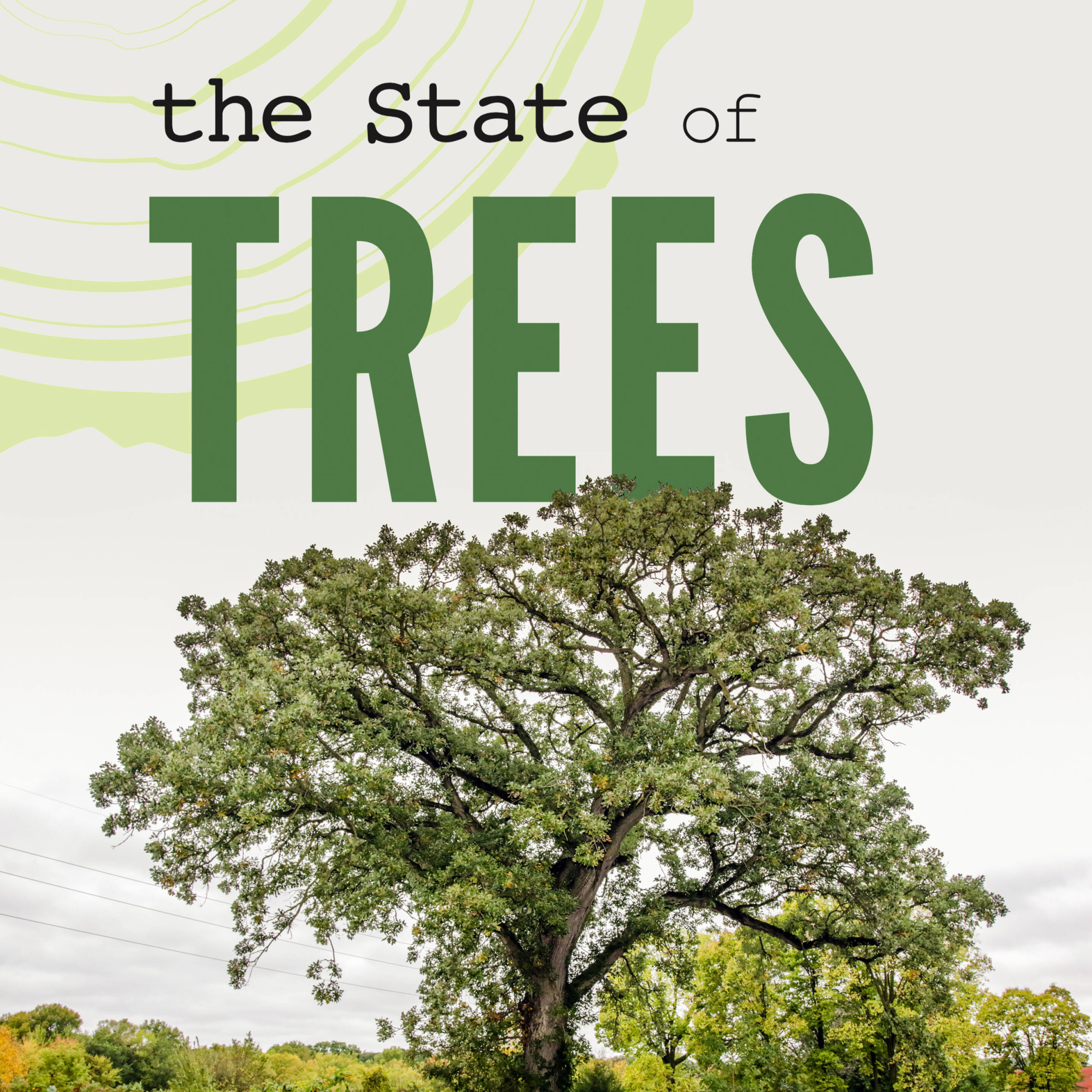 The State of Trees
