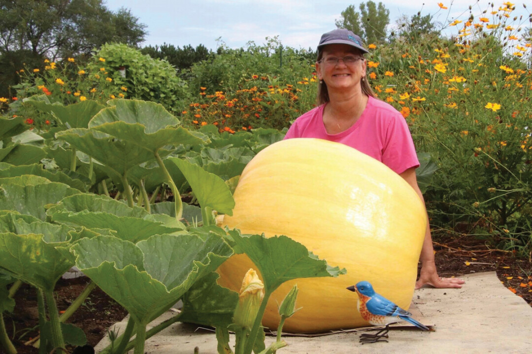 Kathy Westaby and her giant pumpkin. (Submitted photo)