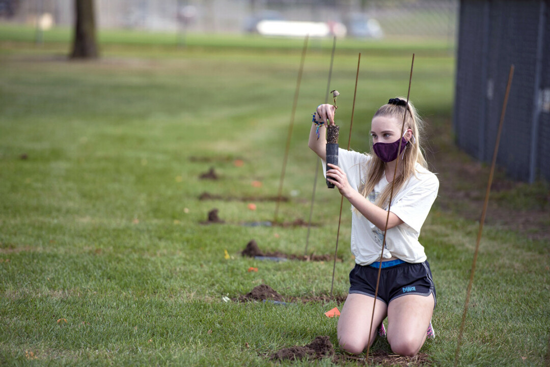 YOU WOULD NOT BELIEVE IT. UW-Eau Claire recently planted nearly 100 trees at Bollinger Field. Submitted photo.