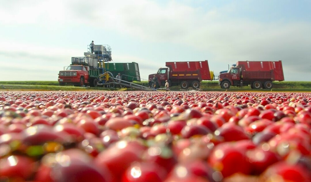 (Photo: Wisconsin State Cranberry Growers Association)
