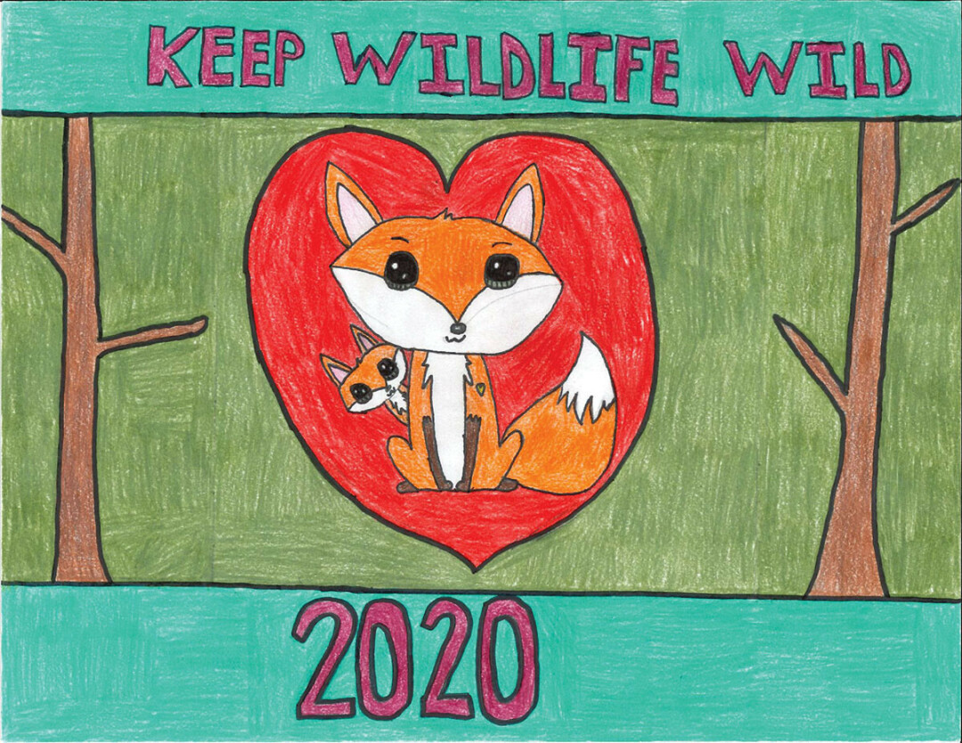 Get Wild and Draw Some Wildlife For the DNR’s Art Contest
