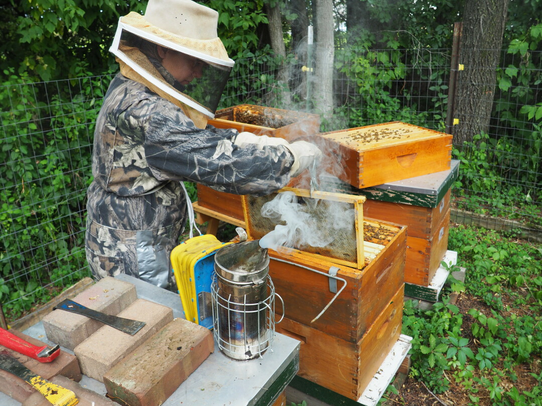 LEARN THE BUZZ. Stephanie Nesja shares what she wishes she knew when she started beekeeping.