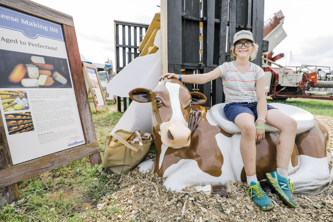 MOOO-VE OVER, PLEASE. Wisconsin Farm Technology days was a hit for humans and bovines alike.