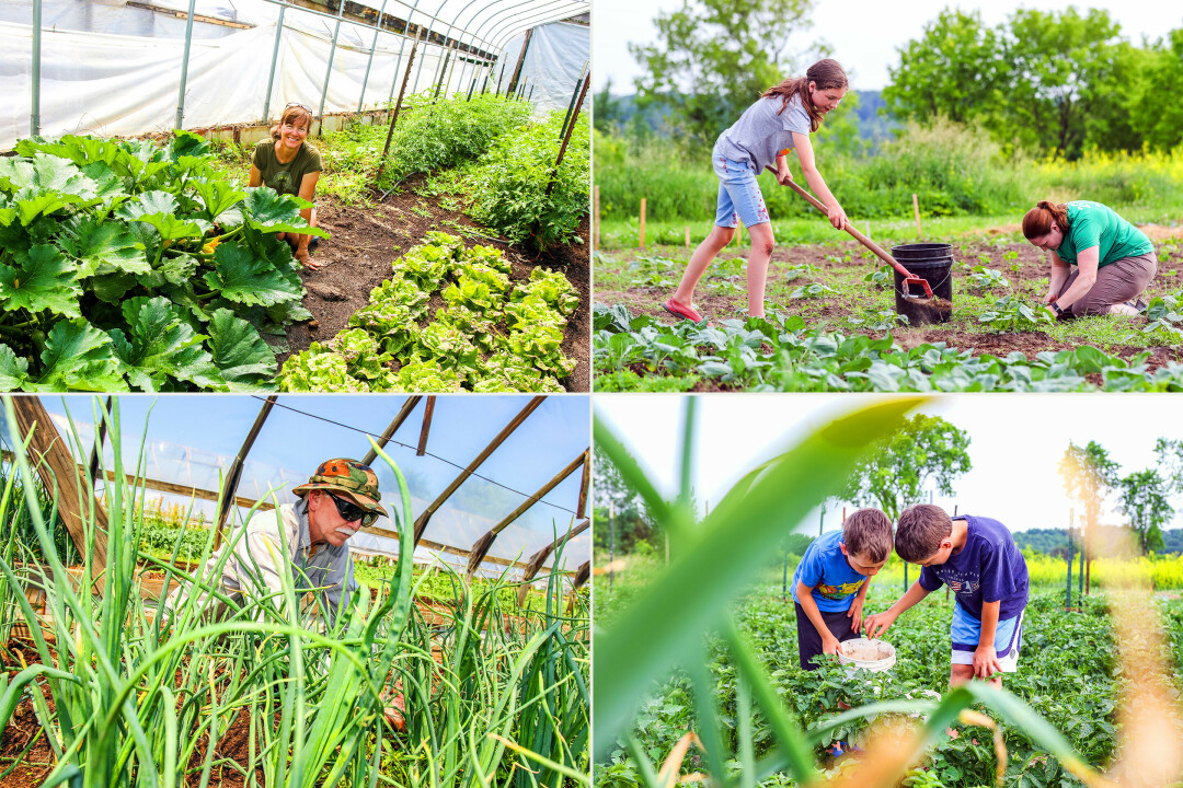 Sunbow Farm is one of several CSAs in the Chippewa Valley where you can help raise healthy produce.