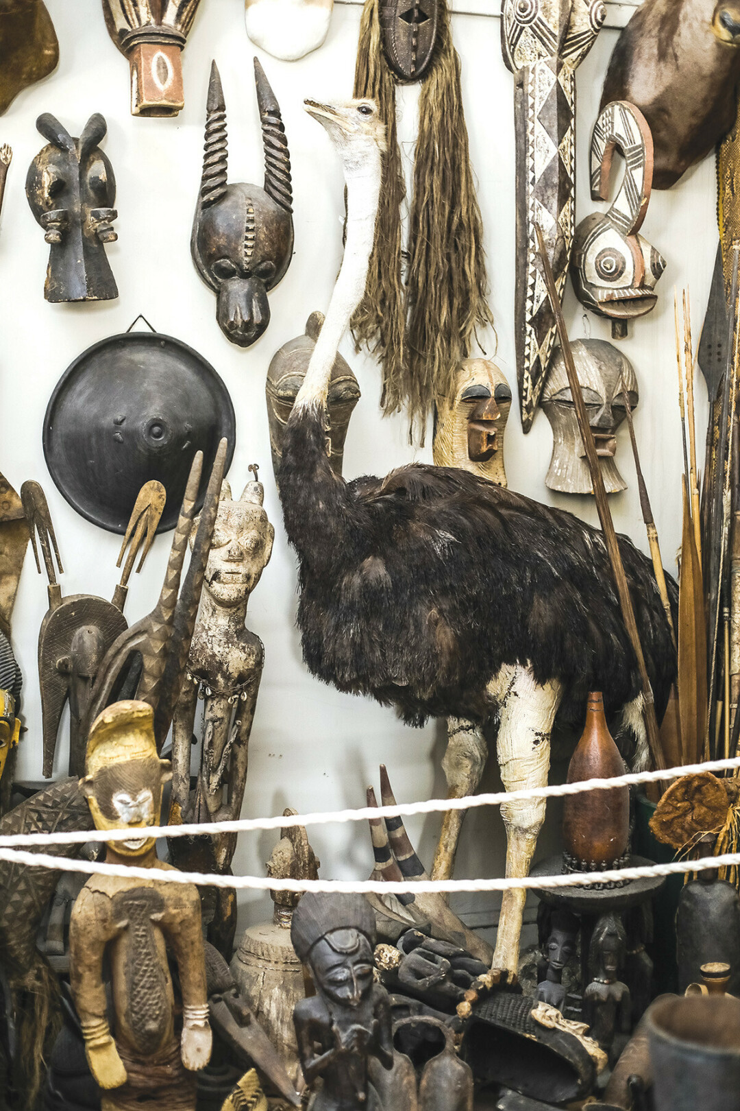 With its numerous displays of taxidermy and other items from around the world, the Antique Emporium is part retail store, part museum.