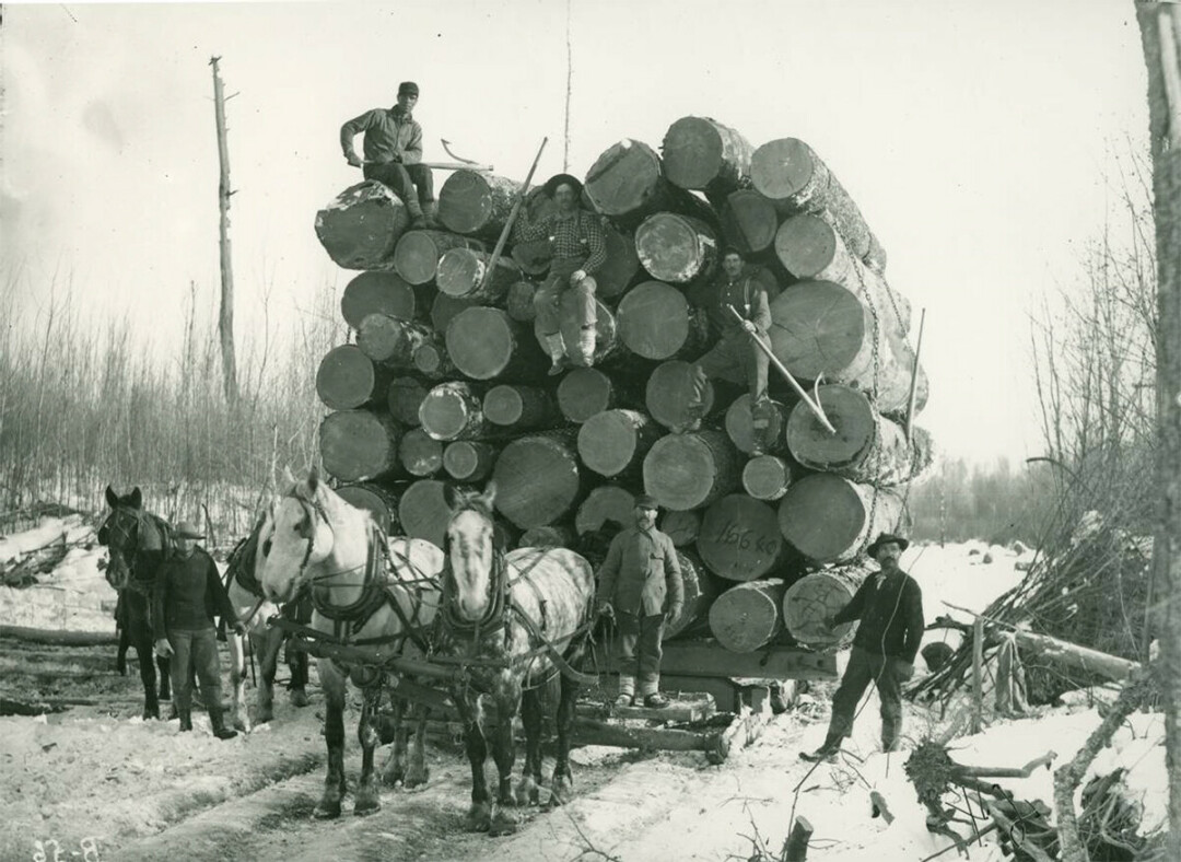 TIME TO LOG ON. Harvesting timber required the strength of both humans and animals. Here a crew poses with a horse-drawn sled of logs circa 1905.