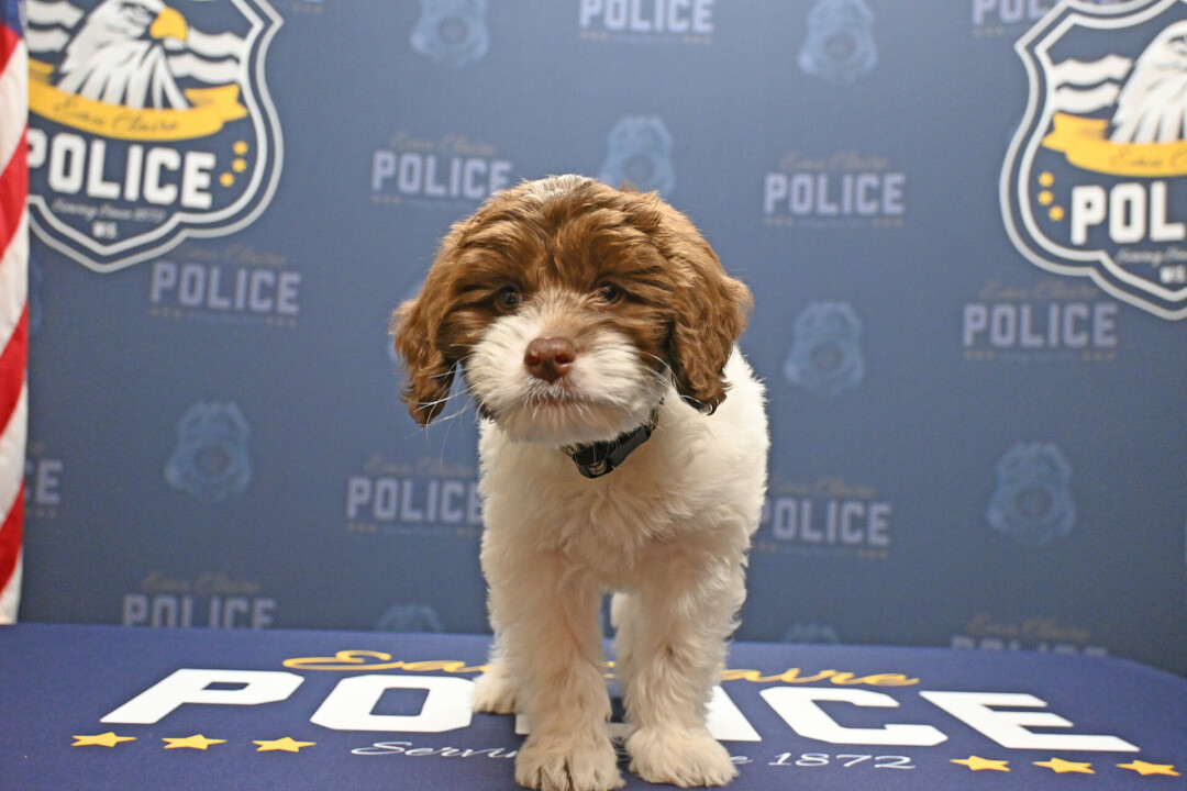 HERE FOR YOU ON THOSE RUFF DAYS. ECPD's new therapy dog, Murphy, has already received an outpouring of love from the community.
