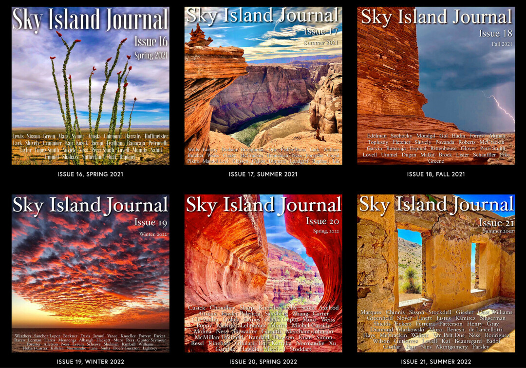 SOARING ABOVE THE REST. Sky Island Journal's five-year milestone since its first published issue was July 14, and looking back, it is clear the journal is only surging forward.