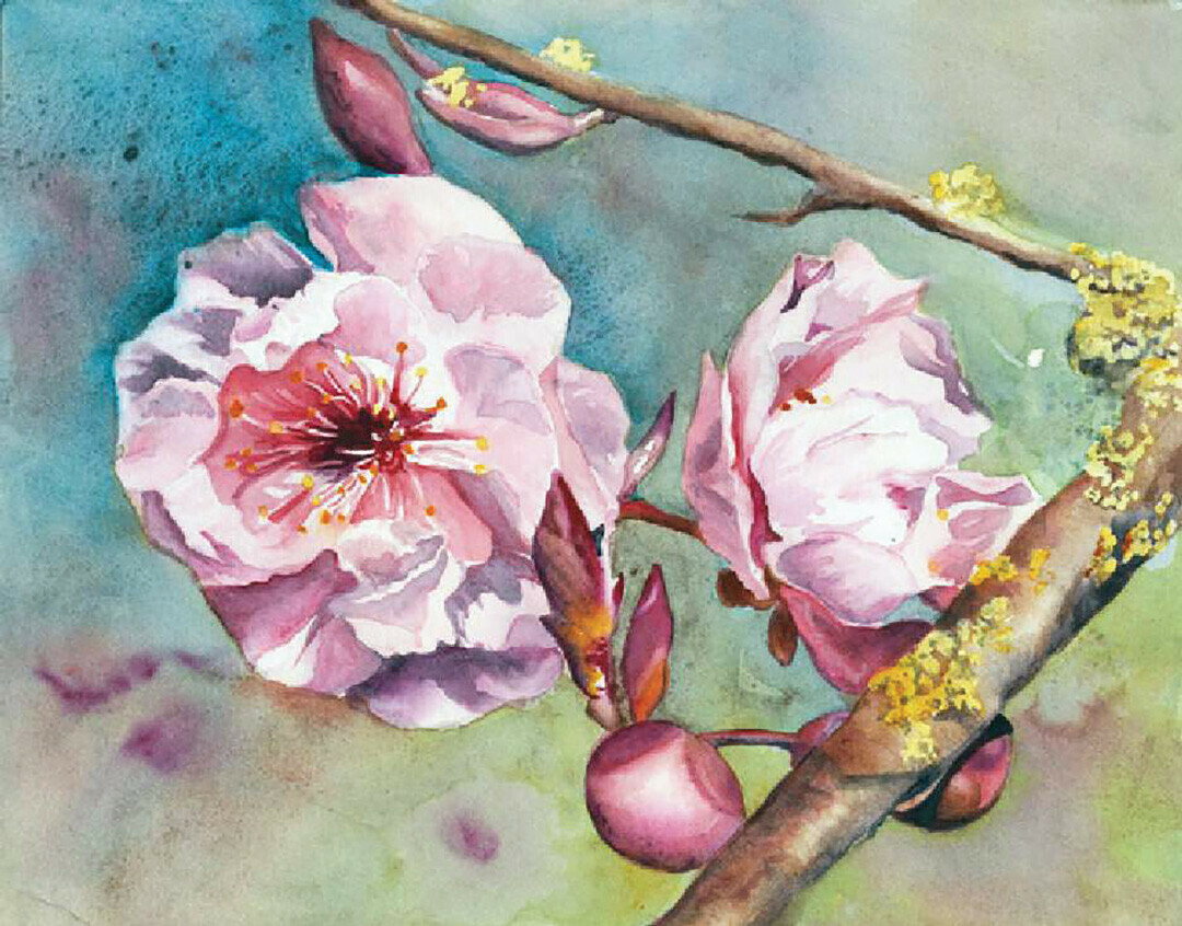‘SUSAN’S BLOSSOMS’ BY LINDAMERRY UDELL