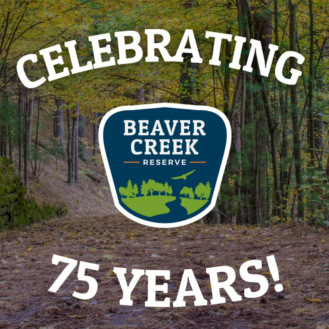Image from Beaver Creek's Facebook.