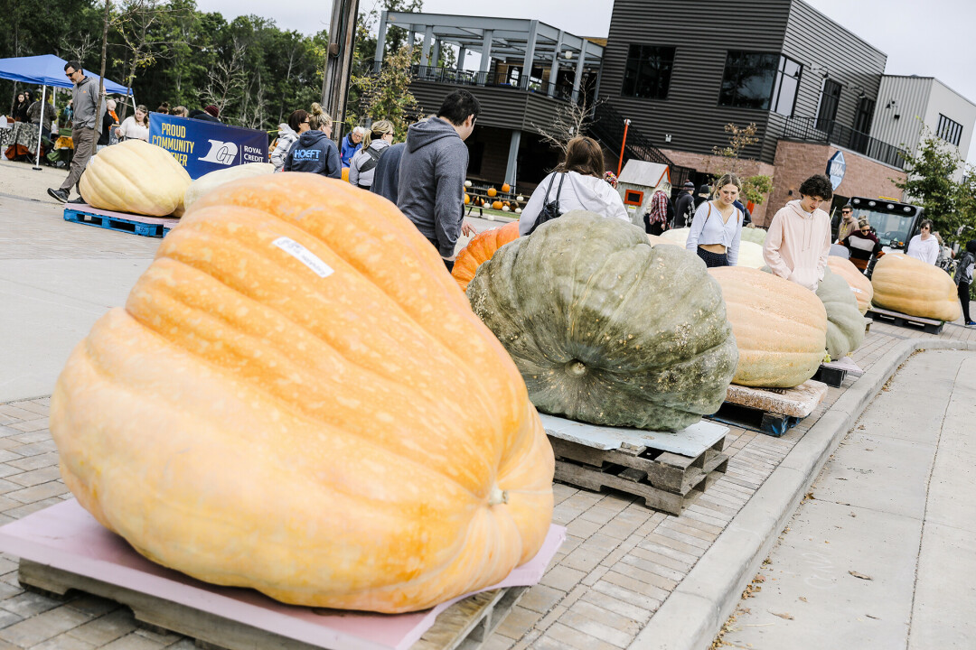 SQUASH GOALS. The Ginormous Pumpkin Festival is bringing all the large produce to River Prairie.