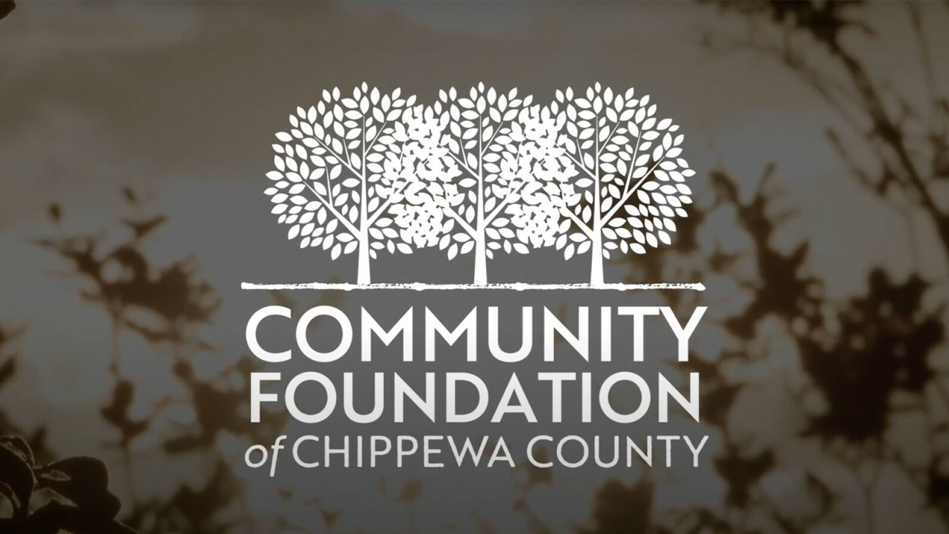 Chippewa Co. Foundation Seeks Applicants for Community Needs