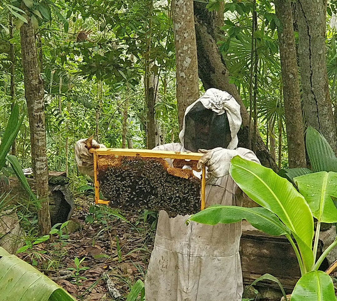 BEE-ING CAREFUL. Casty, pictured here tending to one of his hives, is one of the beekeepers’ Vetiver Solutions partnered with to deliver high-quality honey and beeswax products directly from Moreau, Haiti. (Submitted photo)