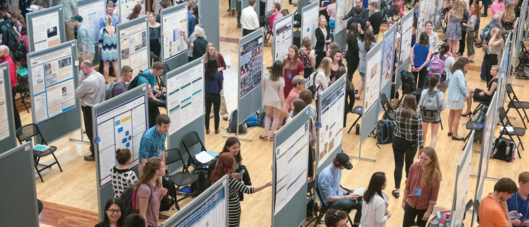 POSTER-PALOOZA. A previous undergraduate research event at UW-Eau Claire. (UWEC photo)