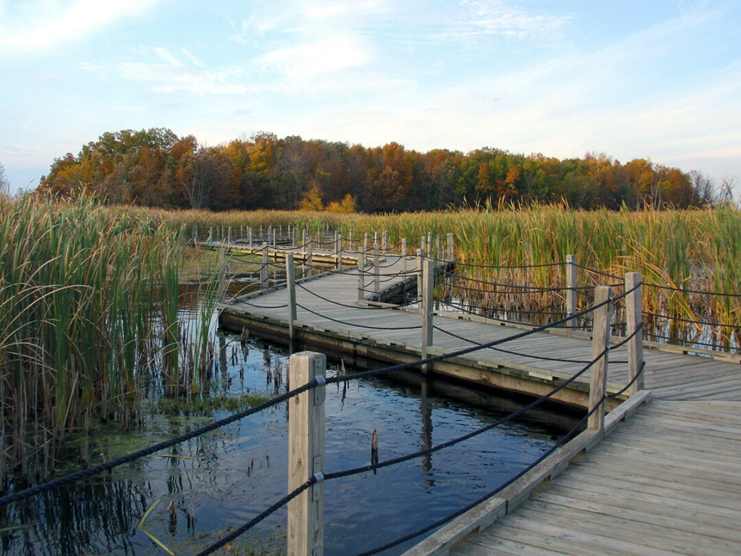 A boardwalk at Horicon Marsh. 