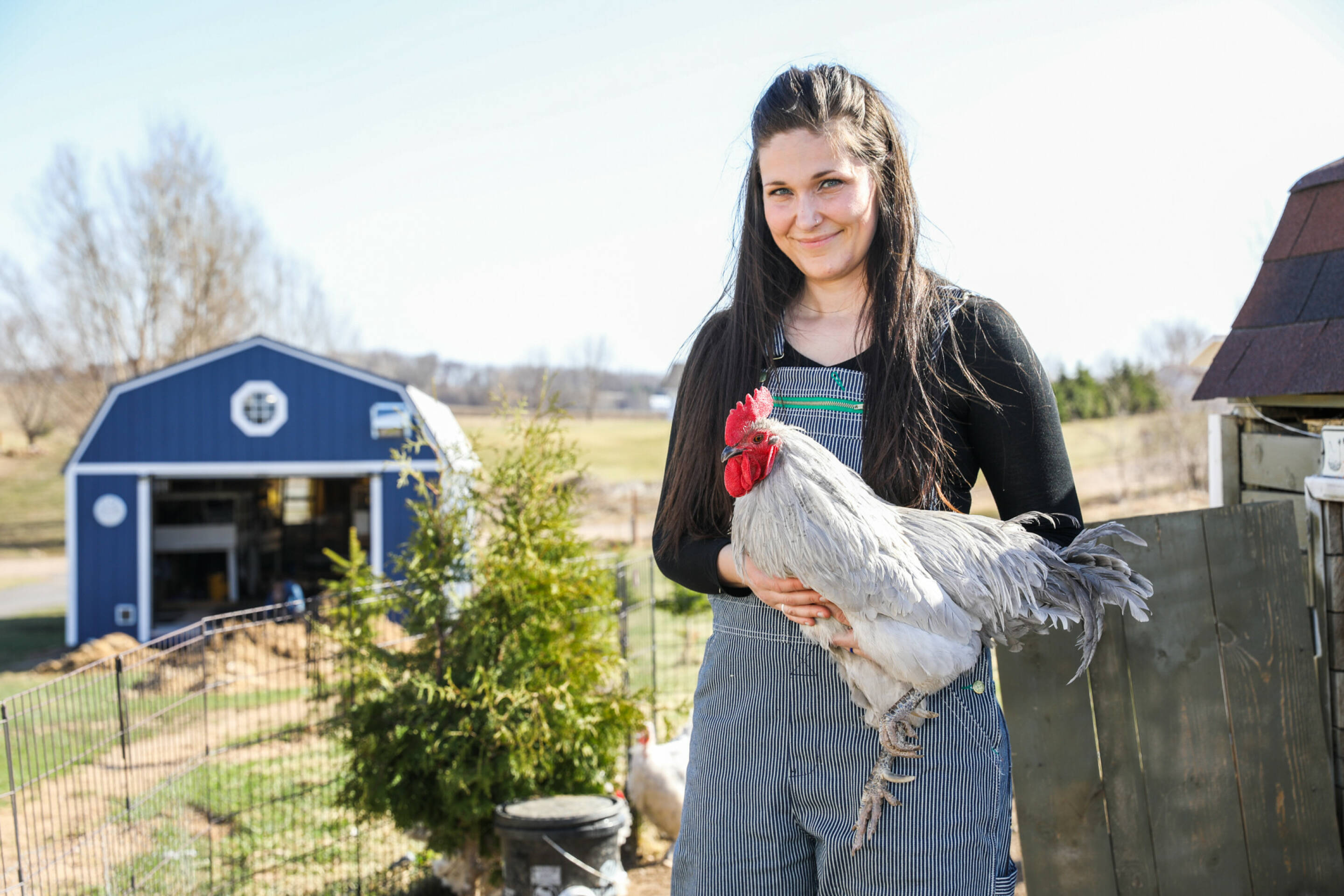 LAVENDER AND GREEN. Stephanie Bartholomew of Happy Hatching holds a Lavender Orpington chicken. 