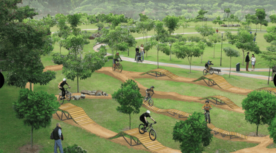 An example of what a bike skills park could look like.