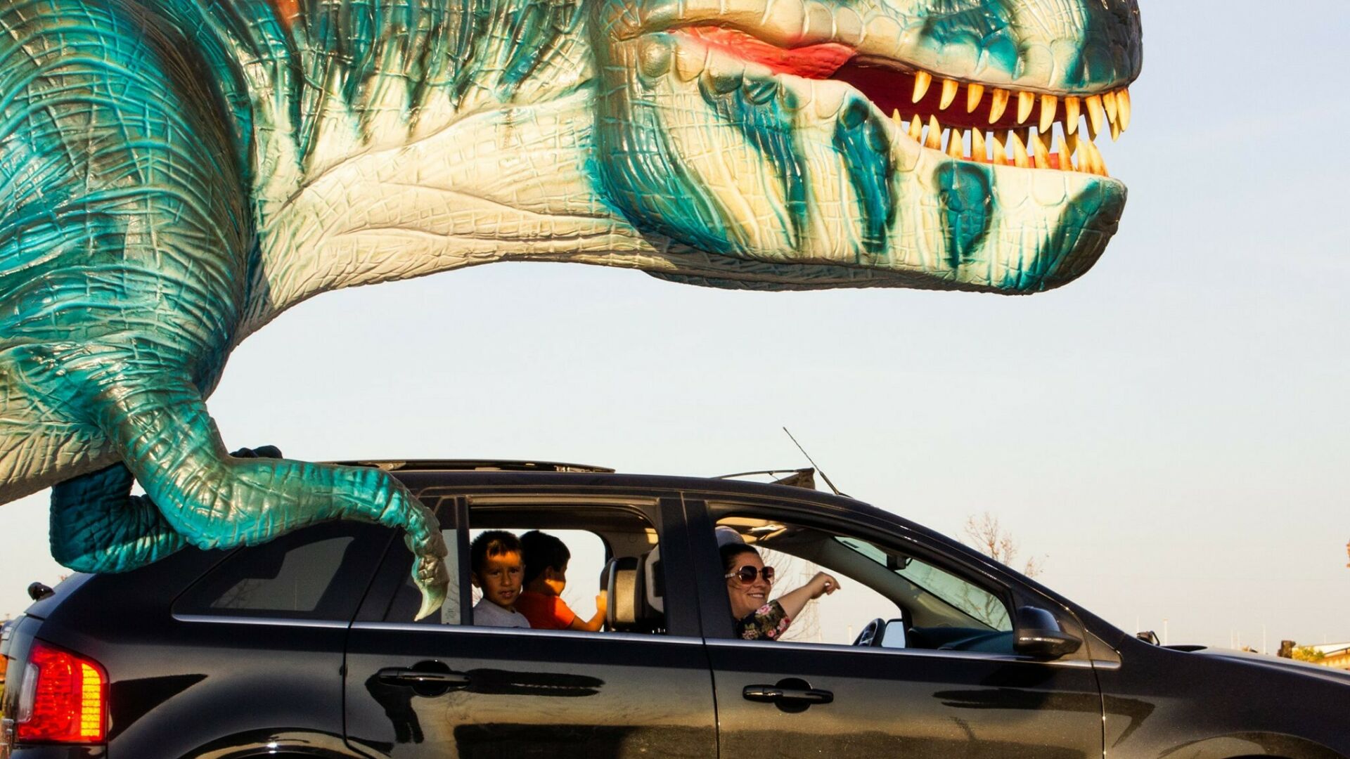 Watch the dino-mite video of a T-Rex on the run through Plymouth