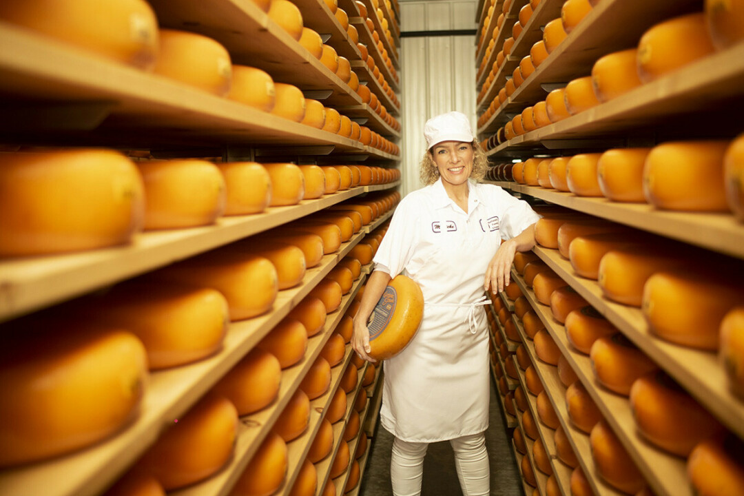 GOUDA RESULTS! Thorp-based Marieke Gouda came out on top of all Wisconsin and U.S. cheesemakers in terms of most rankings at the World Cheese Awards in October.