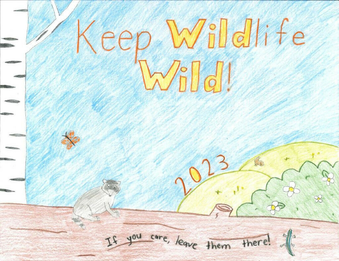 DNR announces 2022 Keep Wildlife Wild Poster Contest winners - Merrill Foto  News