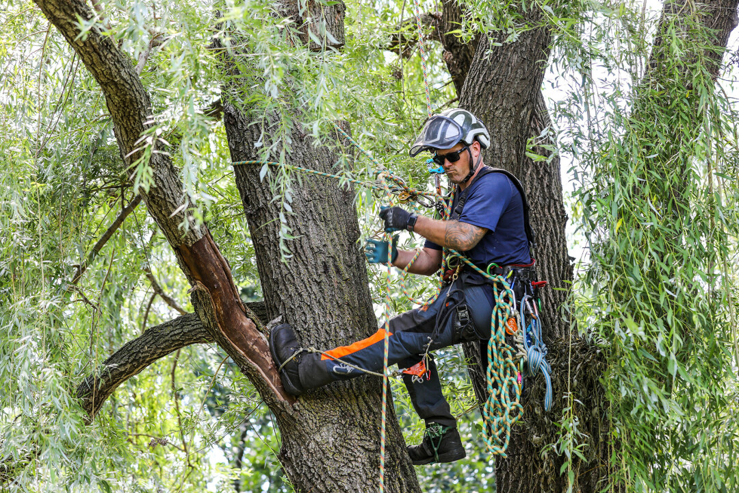 UP AND AT 'EM. Larson Tree Care, founded by certified arborist and veteran Dalton Larson, has your property care's best interest at heart – with the credentials to back it up.