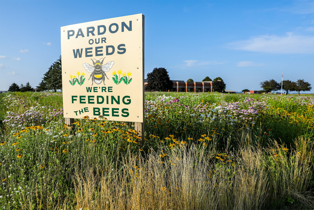 ALL THE BUZZ. Dunn Energy Cooperative has quite the view thanks to a years-in-progress project that is now a pollinator hub.