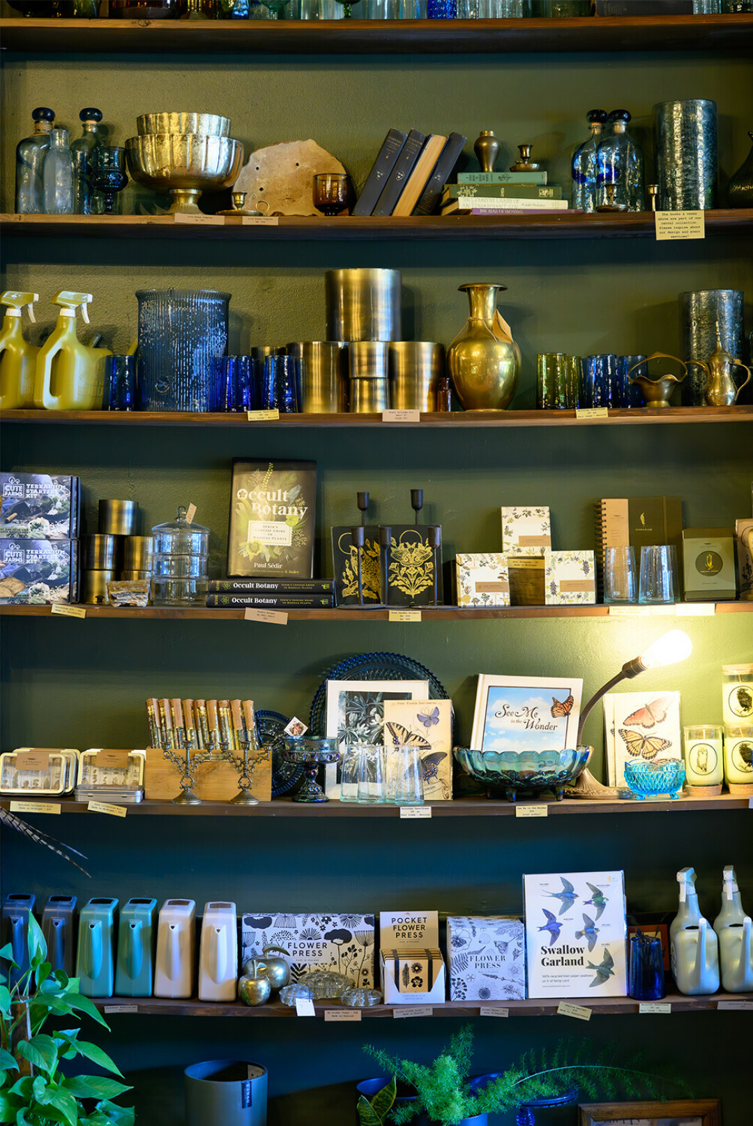 Part of the shelving at the front of the store.