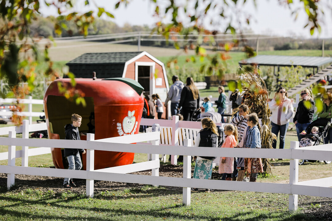 ADD SOME PAZAZZ. Ferguson Orchards planted 40,000 Pazazz apples at their Eau Claire orchard in 2014. This year is the 10-year anniversary, and welcomes returning and new activities.