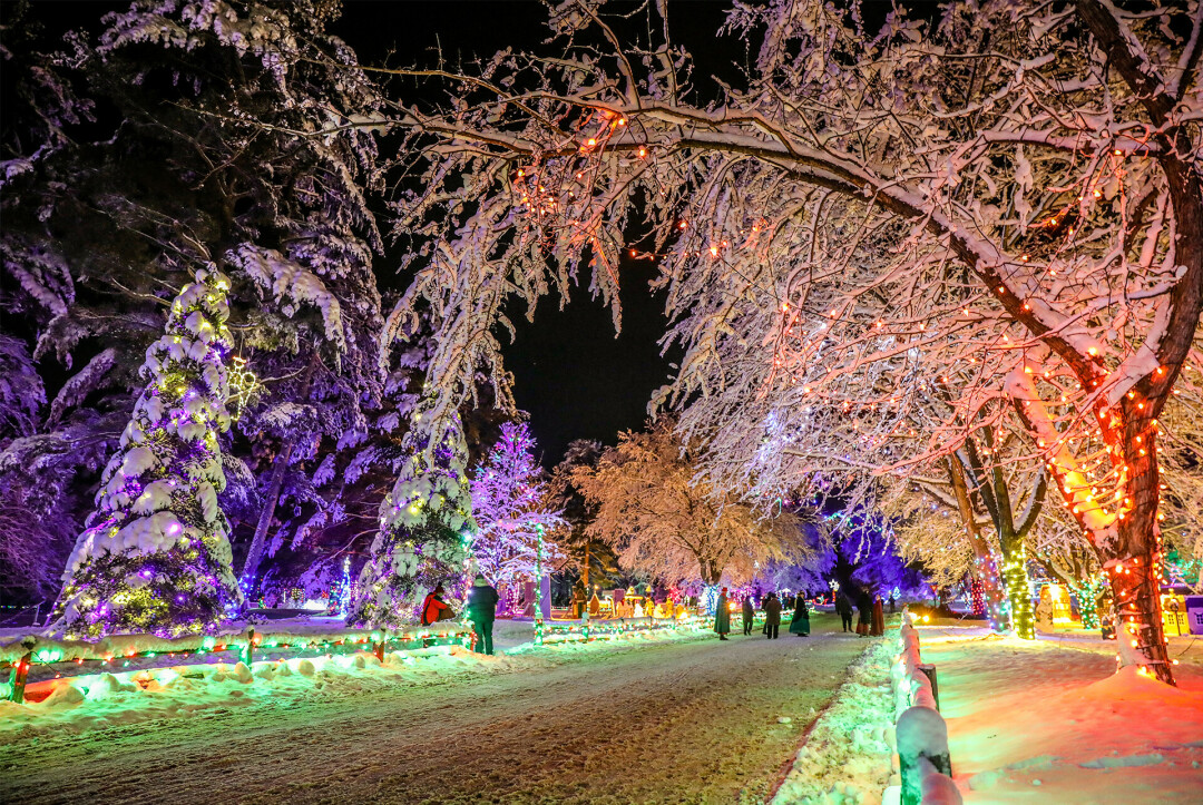 BEST OF THE BEST. According to locals, here are the best tree farms, holiday events, holiday drinks, and more seasonal resources and things! (Photo by Andrea Paulseth)