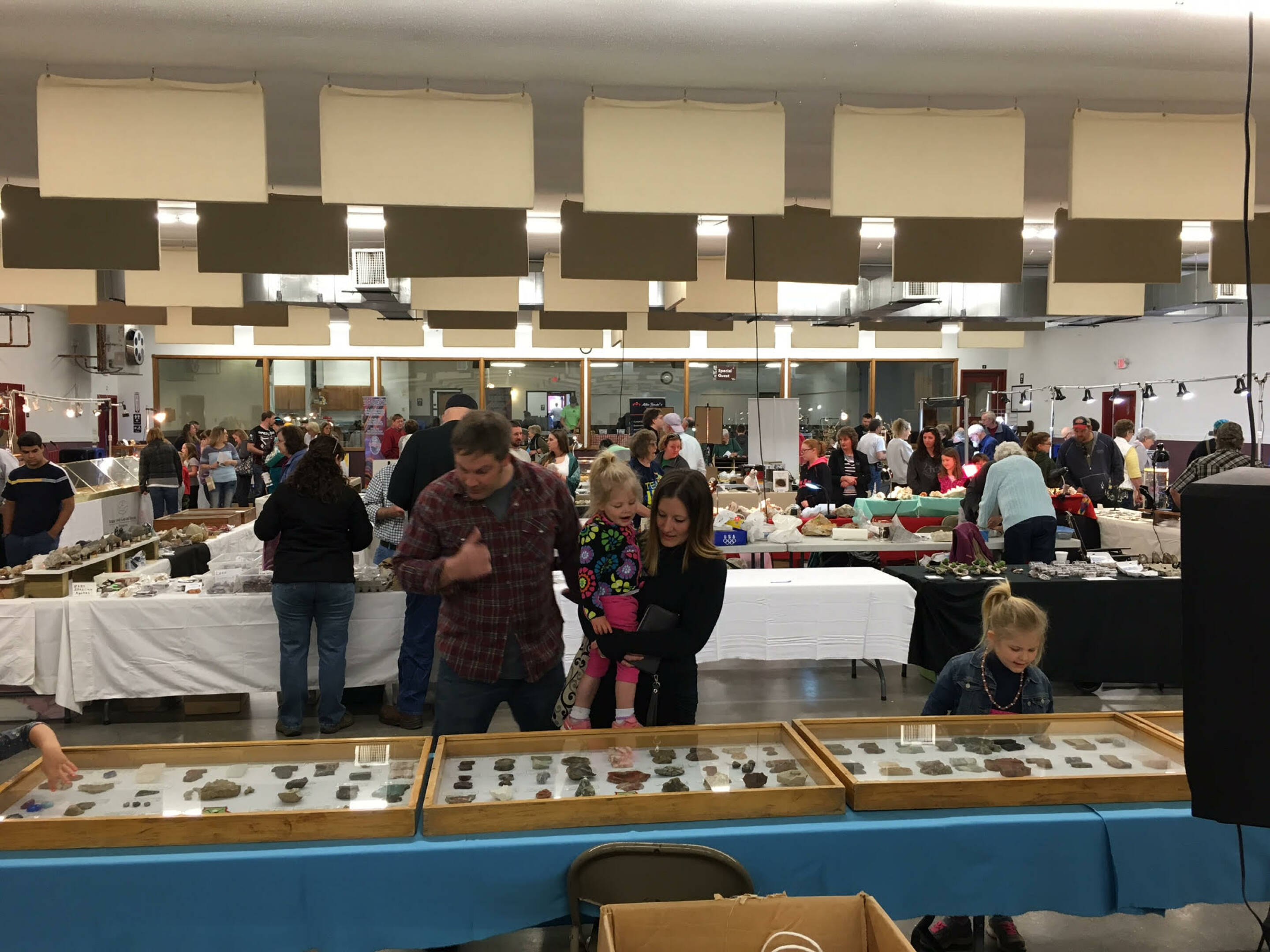 54th Annual Chippewa Valley Gem & Mineral Society Show & Sale...