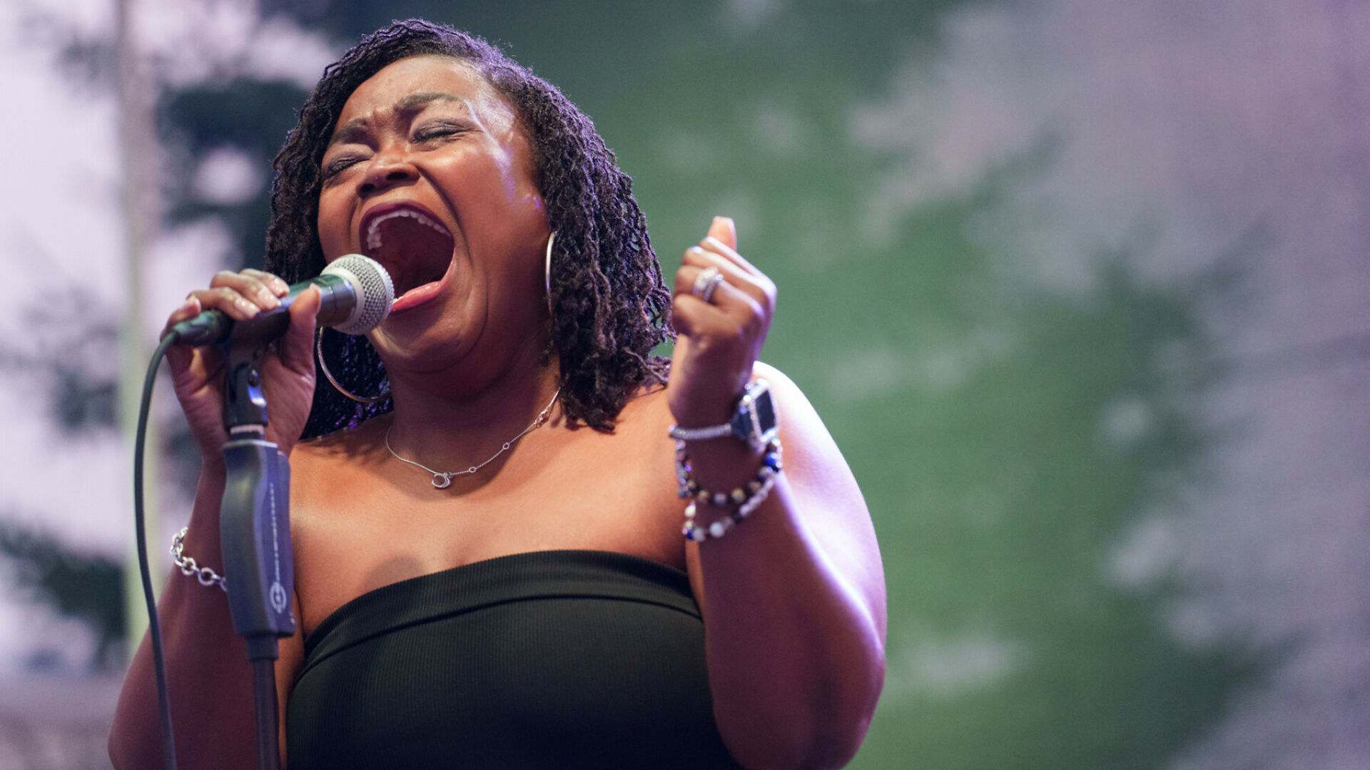 PHOTOS] BLUES NEVER FELT SO GOOD: 2025 Blues on the Chippewa -
