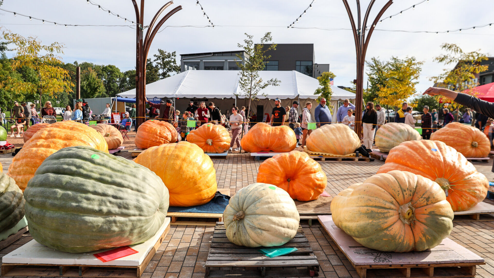 [PHOTOS] OH MY GOURD! 2026 Ginormous Pumpkin Festival In River...