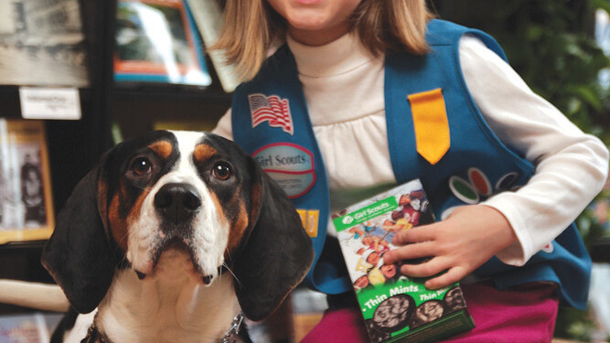 BREAKING: If you do not buy goods from this girl scout, her dog will be taken away.