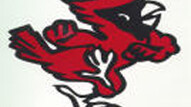 The fierce Dancing Cardinal